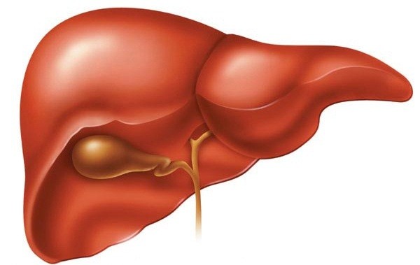 Dấu hiệu nhận diện "nạn nhân" của bệnh gan