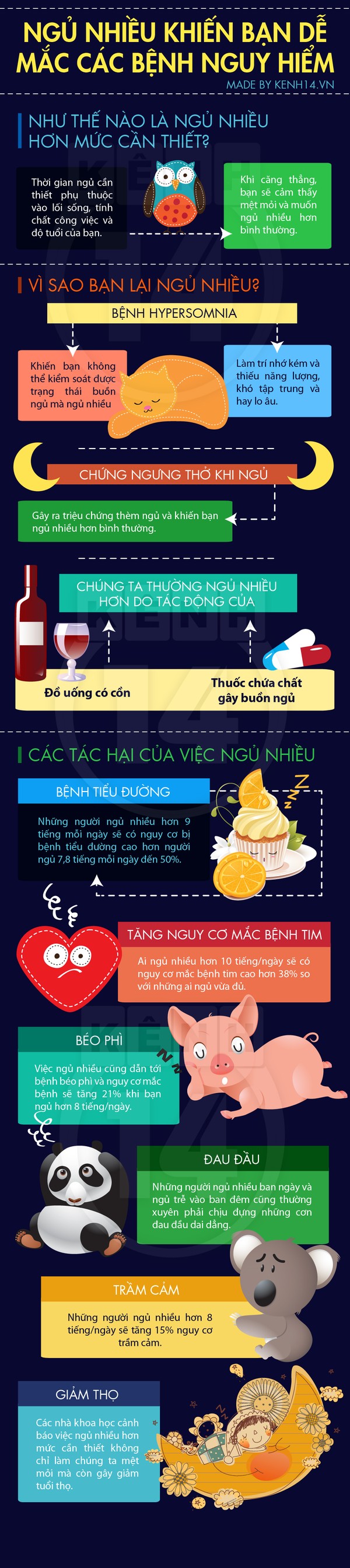 Ngủ quá nhiều dễ khiến bạn trở nên "yếu xìu"